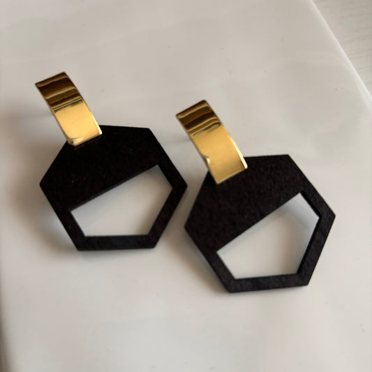 HexaHarmony Earrings